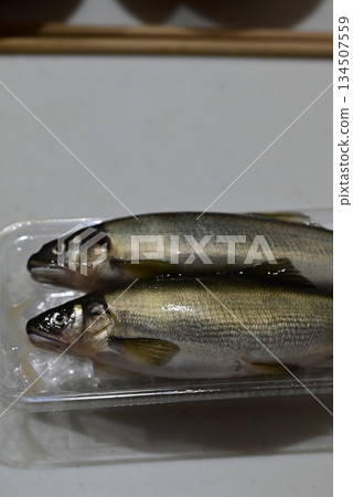 新鮮漂亮的香魚 新鮮漂亮的香魚 134507559