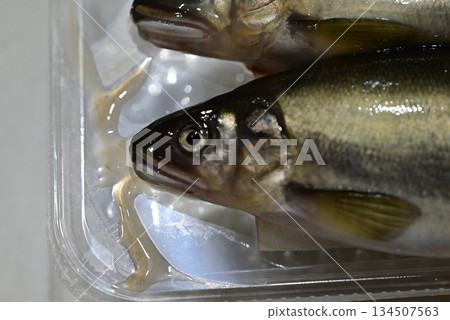 新鮮漂亮的香魚 134507563