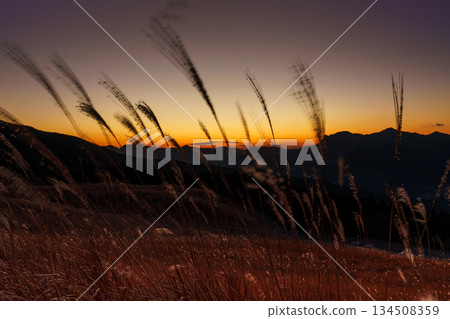 夕陽西下,落日餘暉灑在索尼高原上,遠處的索尼山脈巍峨聳立,日本蒲葦隨風搖曳——十二月的索尼高原① 夕陽西下,落日餘暉灑在索尼高原上,遠處的索尼山脈巍峨聳立,日本蒲葦隨風搖曳——十二月的索尼高原① 134508359