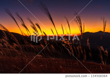 十二月,索尼高原上,日本蒲葦隨風搖曳,夕陽西下,索尼山脈巍峨聳立。 ➅ 十二月,索尼高原上,日本蒲葦隨風搖曳,夕陽西下,索尼山脈巍峨聳立。 ➅ 134508364