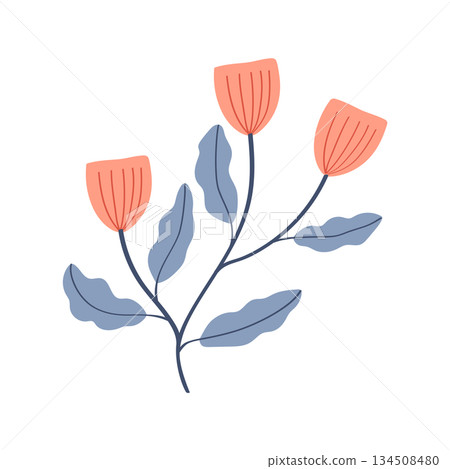 Cute Pink Flower isolated on transparent background 134508480