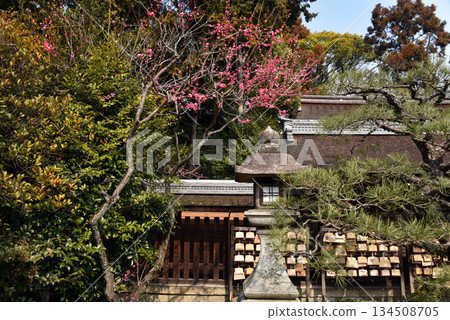 梅宮神社的春天 134508705