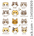 Cats gathering without background 134508909