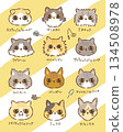 Cats assemble 134508978