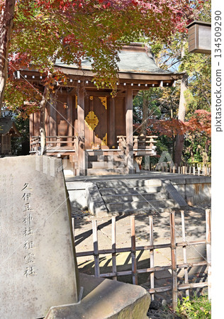 Walking around Koshigaya - Hisaizu Shrine (the main shrine of Koshigaya) Koshigaya, Koshigaya City Walking around Koshigaya - Hisaizu Shrine (the main shrine of Koshigaya) Koshigaya, Koshigaya City 134509290