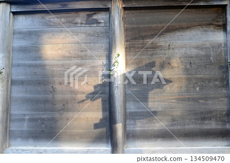 伊勢神宮一號外宮主圍牆上的榊樹 134509470