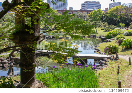 Former Shiba Rikyu Gardens Stone lanterns and a strolling pond garden with fresh greenery Former Shiba Rikyu Gardens Stone lanterns and a strolling pond garden with fresh greenery 134509473