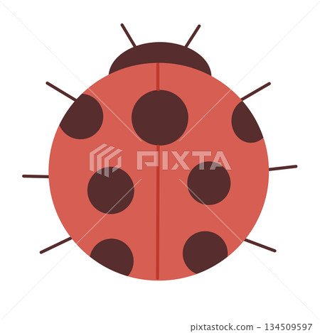 可愛的紅色瓢蟲插圖。象徵好運。 可愛的紅色瓢蟲插圖。象徵好運。 134509597