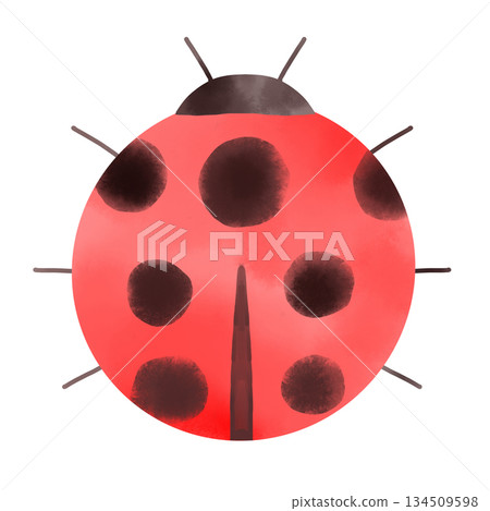 Cute red ladybug illustration in watercolor style. A symbol of good luck. 134509598