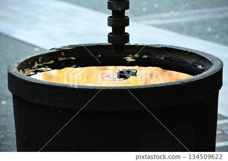 Old temple after the rain 134509622