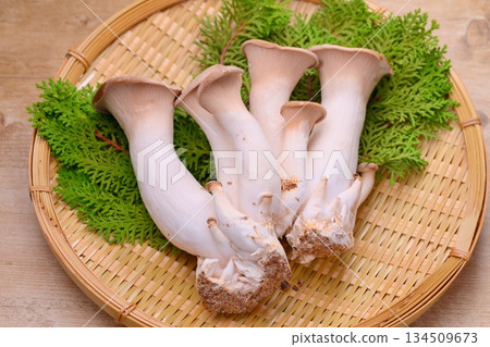 A large king oyster mushroom as an ingredient. It's huge. 134509673