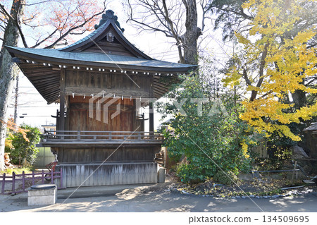 Walking around Koshigaya - Hisaizu Shrine (the main shrine of Koshigaya) Koshigaya, Koshigaya City 134509695