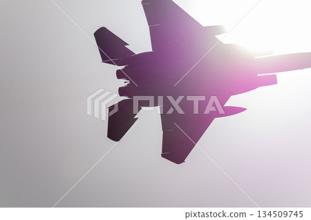 airplane, plane, fighter plane 134509745