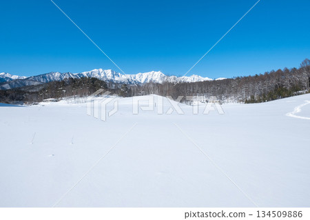 Nakayama Plateau Snow Trekking (View of the Northern Alps) 134509886