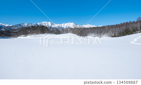 Nakayama Plateau Snow Trekking (View of the Northern Alps) 134509887