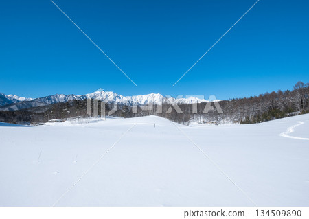 Nakayama Plateau Snow Trekking (View of the Northern Alps) 134509890