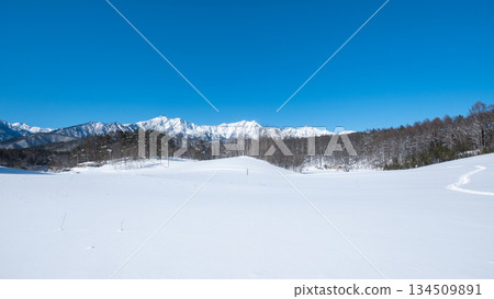 中山高原雪地健行（北阿爾卑斯山景色） 134509891