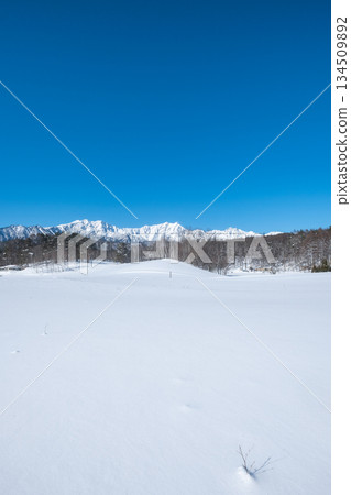 中山高原雪地健行(北阿爾卑斯山景色) 中山高原雪地健行(北阿爾卑斯山景色) 134509892