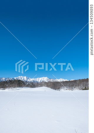Nakayama Plateau Snow Trekking (View of the Northern Alps) 134509893