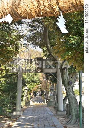 漫步越谷 - 前往久津神社（越谷本神社） 越谷市 134509910