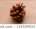 Pine cones, pine cones, pine cones, and seeds. 134509933