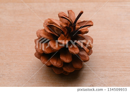 松果、松果、松果和種子。 134509933