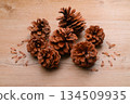 Pine cones, pine cones, pine cones, and seeds. 134509935