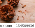 Pine cones, pine cones, pine cones, and seeds. 134509936