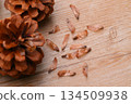 Pine cones, pine cones, pine cones, and seeds. 134509938