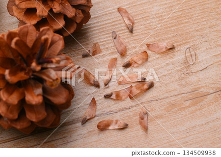Pine cones, pine cones, pine cones, and seeds. Pine cones, pine cones, pine cones, and seeds. 134509938