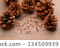Pine cones, pine cones, pine cones, and seeds. 134509939
