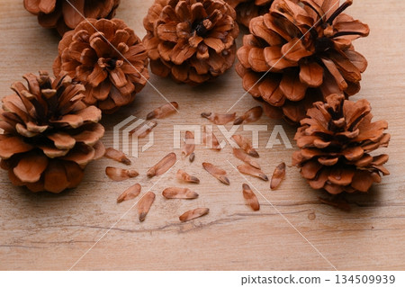 Pine cones, pine cones, pine cones, and seeds. Pine cones, pine cones, pine cones, and seeds. 134509939