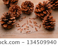 Pine cones, pine cones, pine cones, and seeds. 134509940