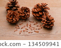 Pine cones, pine cones, pine cones, and seeds. 134509941