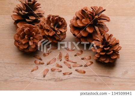 Pine cones, pine cones, pine cones, and seeds. 134509941