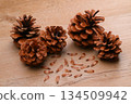 Pine cones, pine cones, pine cones, and seeds. 134509942