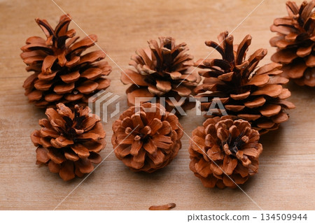 Pine cones, pine cones, pine cones, and seeds. 134509944