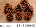 Pine cones, pine cones, pine cones, and seeds. 134509945