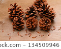 Pine cones, pine cones, pine cones, and seeds. 134509946