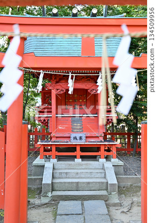 Walking around Koshigaya - Hisaizu Shrine (the main shrine of Koshigaya) - Koshigaya, Koshigaya City Walking around Koshigaya - Hisaizu Shrine (the main shrine of Koshigaya) - Koshigaya, Koshigaya City 134509956