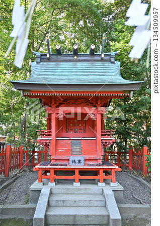 Walking around Koshigaya - Hisaizu Shrine (the main shrine of Koshigaya) - Koshigaya, Koshigaya City Walking around Koshigaya - Hisaizu Shrine (the main shrine of Koshigaya) - Koshigaya, Koshigaya City 134509957