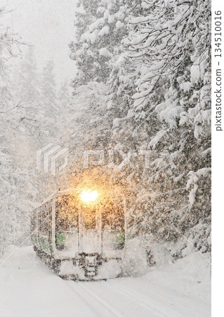 Tadami Line in a blizzard Tadami Line in a blizzard 134510016
