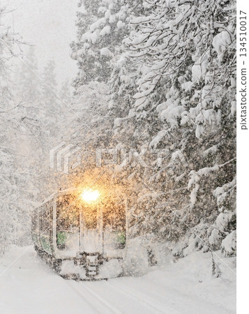 Tadami Line in a blizzard Tadami Line in a blizzard 134510017
