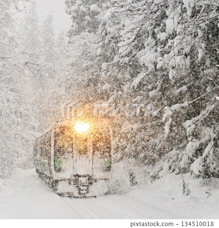 Tadami Line in a blizzard Tadami Line in a blizzard 134510018