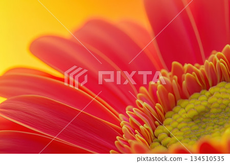 Bright pink flower close-up with vibrant yellow background during daylight 134510535