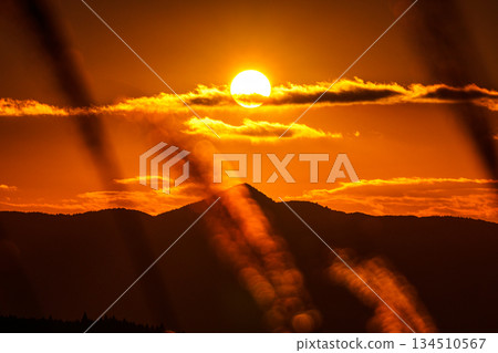 On a clear December evening sky, the sun sinks into the Soni mountain range and the golden silver grass blooms. Soni Plateau 4 On a clear December evening sky, the sun sinks into the Soni mountain range and the golden silver grass blooms. Soni Plateau 4 134510567