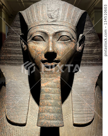 Sphinx of Queen Hatshepsut, Egyptian Museum, Cairo Sphinx of Queen Hatshepsut, Egyptian Museum, Cairo 134510603