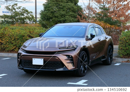 domestic sports car 134510692