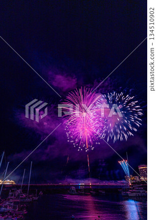 (靜岡縣)熱海的夜景100萬美元和海上煙花 (靜岡縣)熱海的夜景100萬美元和海上煙花 134510902