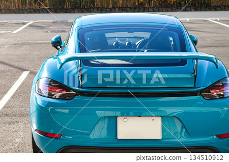 German sports car 134510912